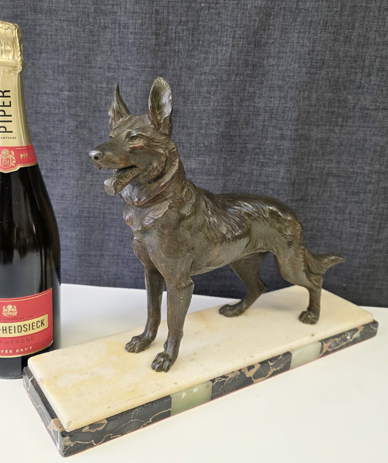 A French Alsatian Dog